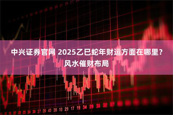 中兴证券官网 2025乙巳蛇年财运方面在哪里？风水催财布局