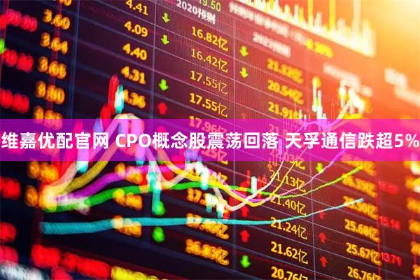 维嘉优配官网 CPO概念股震荡回落 天孚通信跌超5%