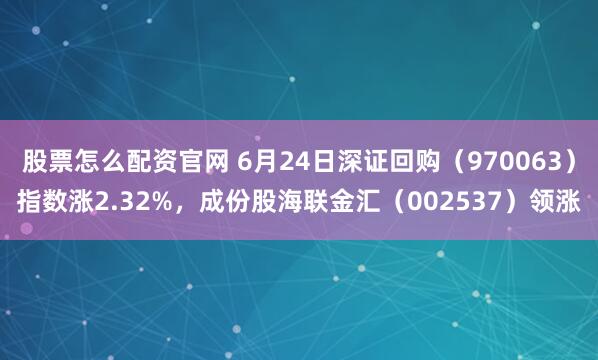 股票怎么配资官网 6月24日深证回购（970063）指数涨2.32%，成份股海联金汇（002537）领涨